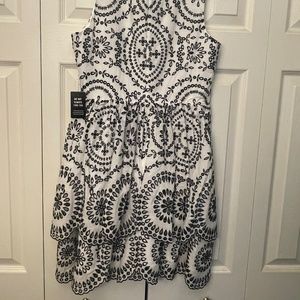 Express lace tiered dress